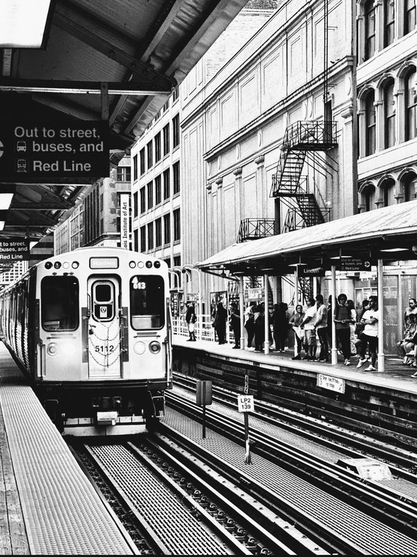 Chicago Vitrophotography - Shelly Agarwal